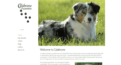 Desktop Screenshot of calabroneaustralianshepherds.com