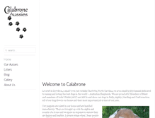 Tablet Screenshot of calabroneaustralianshepherds.com